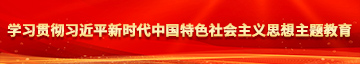 bibicao学习贯彻习近平新时代中国特色社会主义思想主题教育